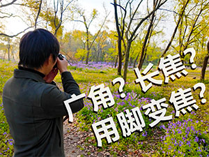 广角与长焦的对决：在春日的晨曦中寻觅答案