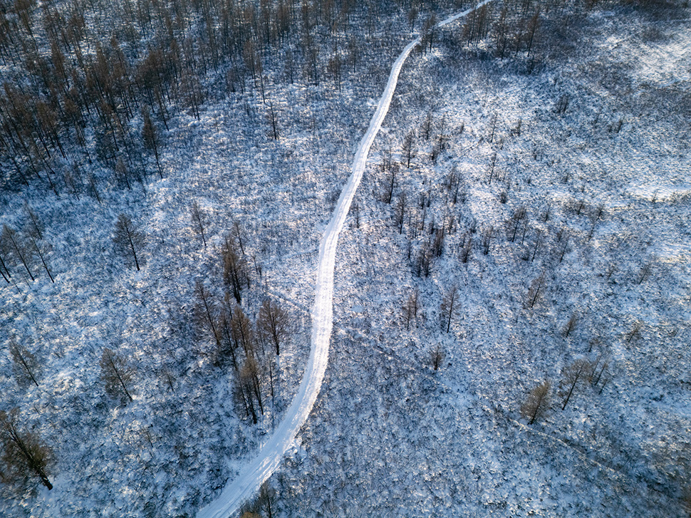 林海雪原