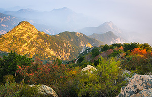 泰山